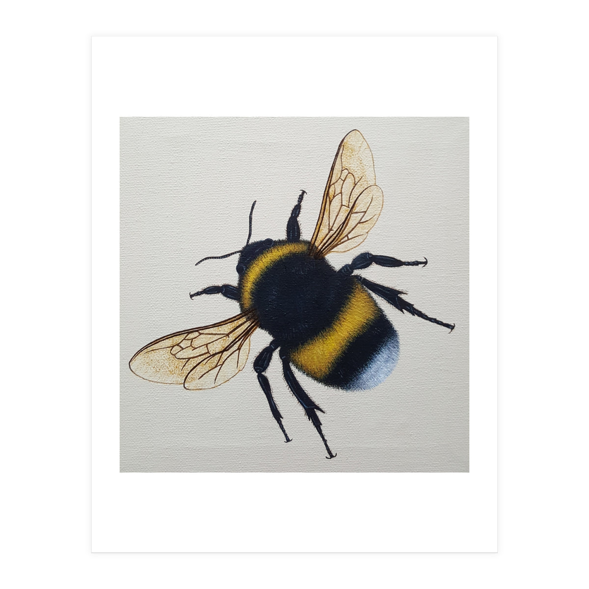 Bumblebee  (Print Only)