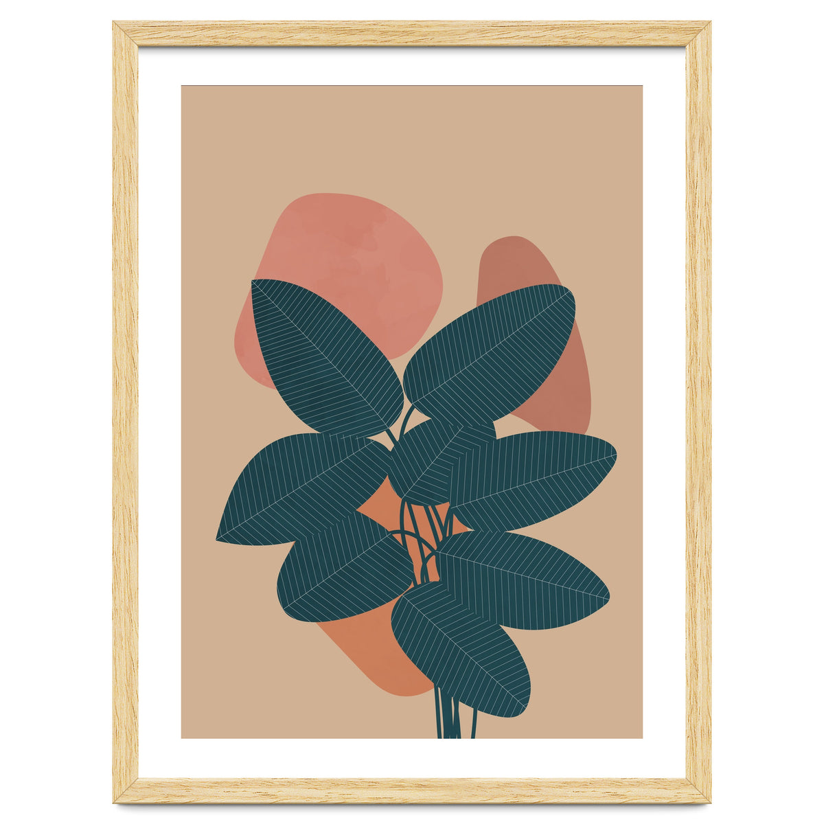 Rubber Plant Boho Botanical