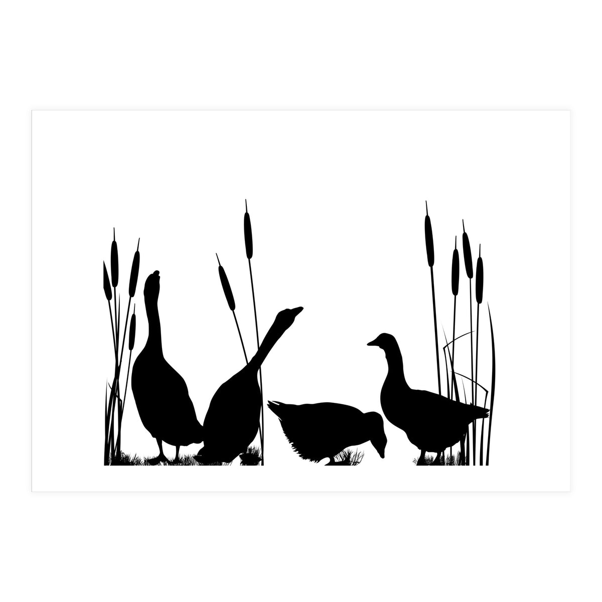 Goose talk too (Print Only)