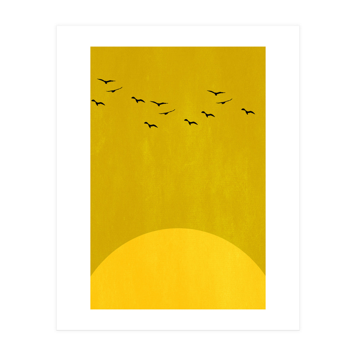 Sundance (Print Only)