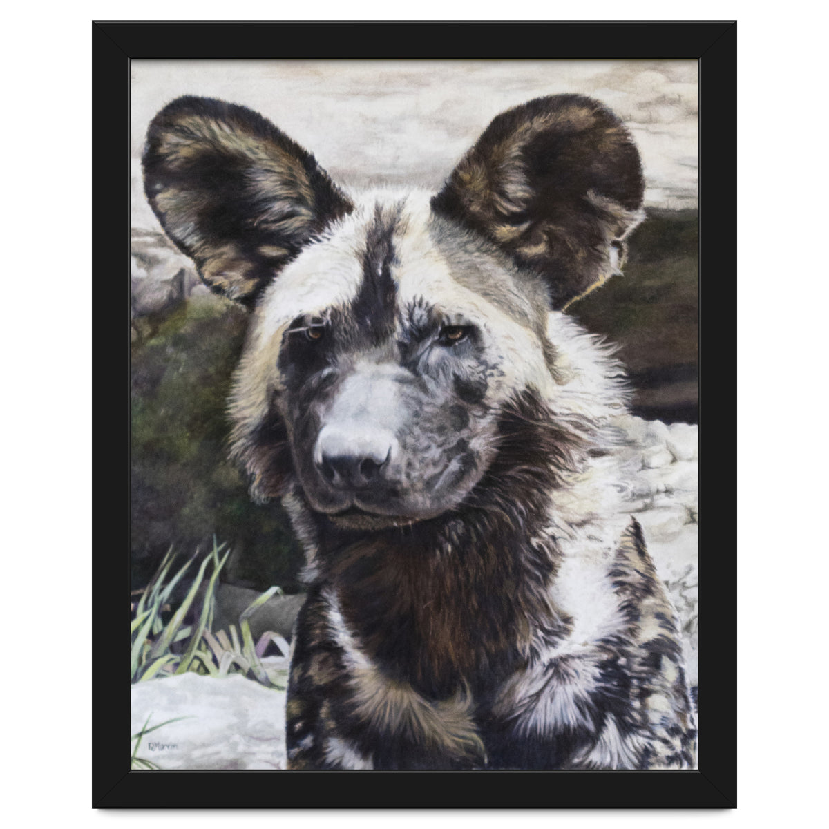 African Painted Dog II