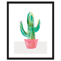 Painted Cactus In Coral Plant Pot