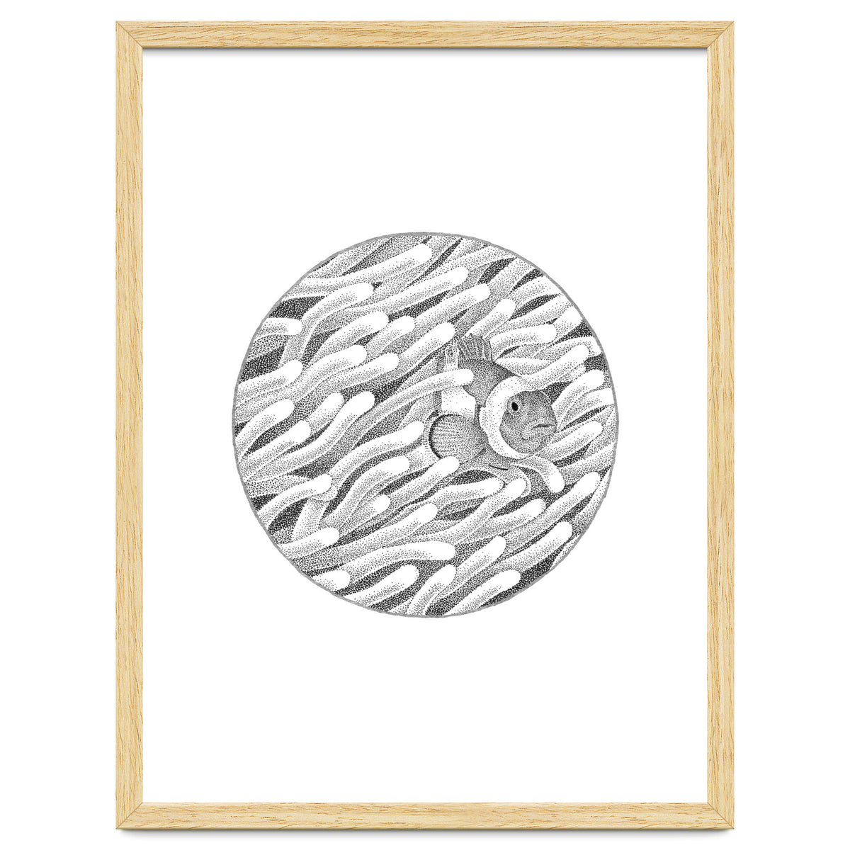 P.O. Underwater Gardens