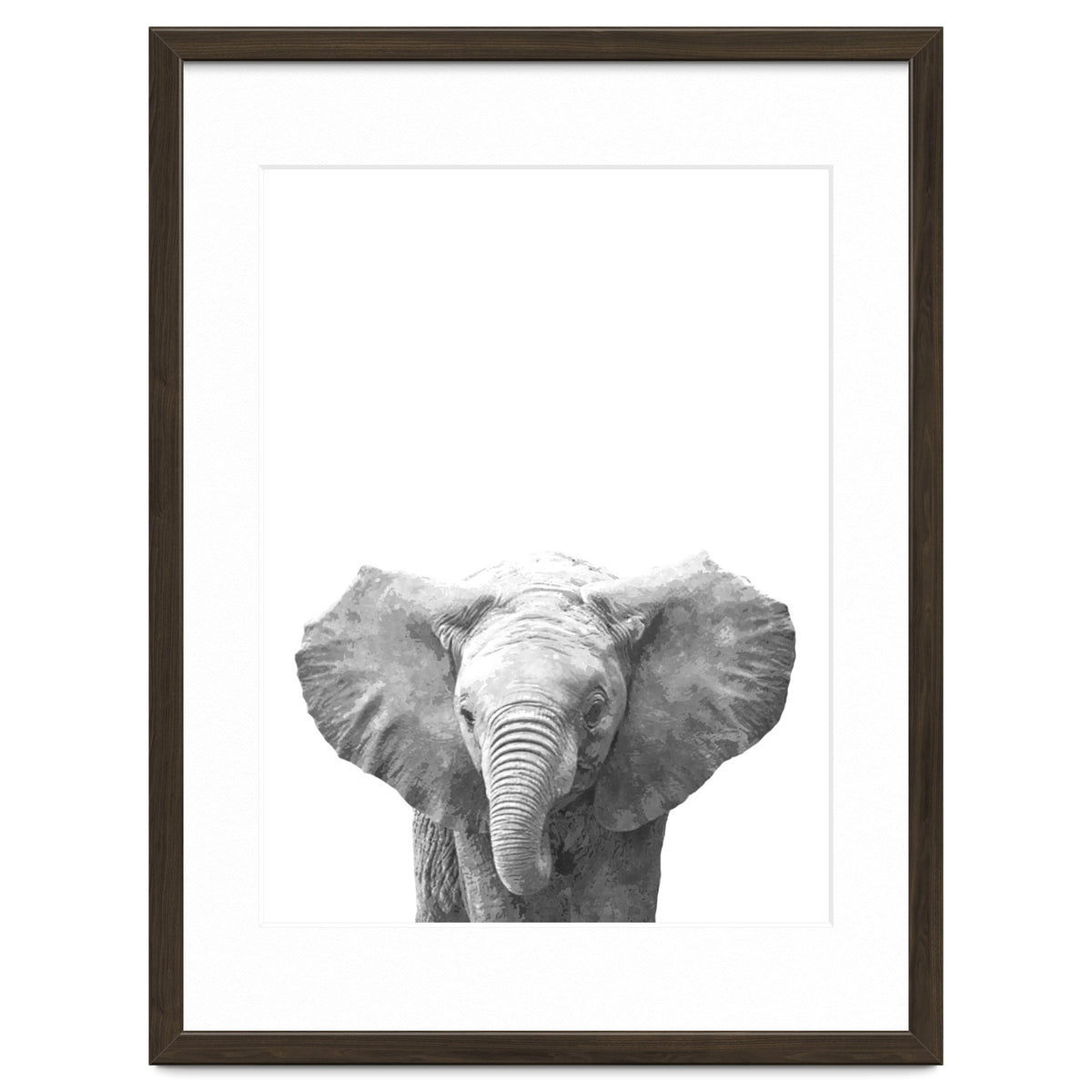 Black and White Baby Elephant