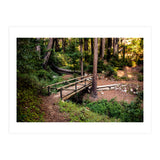 Ewoldsen Loop Bridge (Print Only) thumbnail