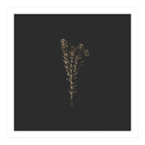 Moody Golden Botanicals - Square (Print Only) thumbnail
