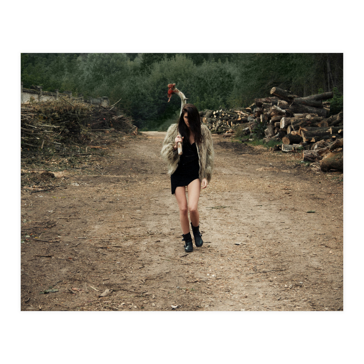 Primitive Tools (Print Only)