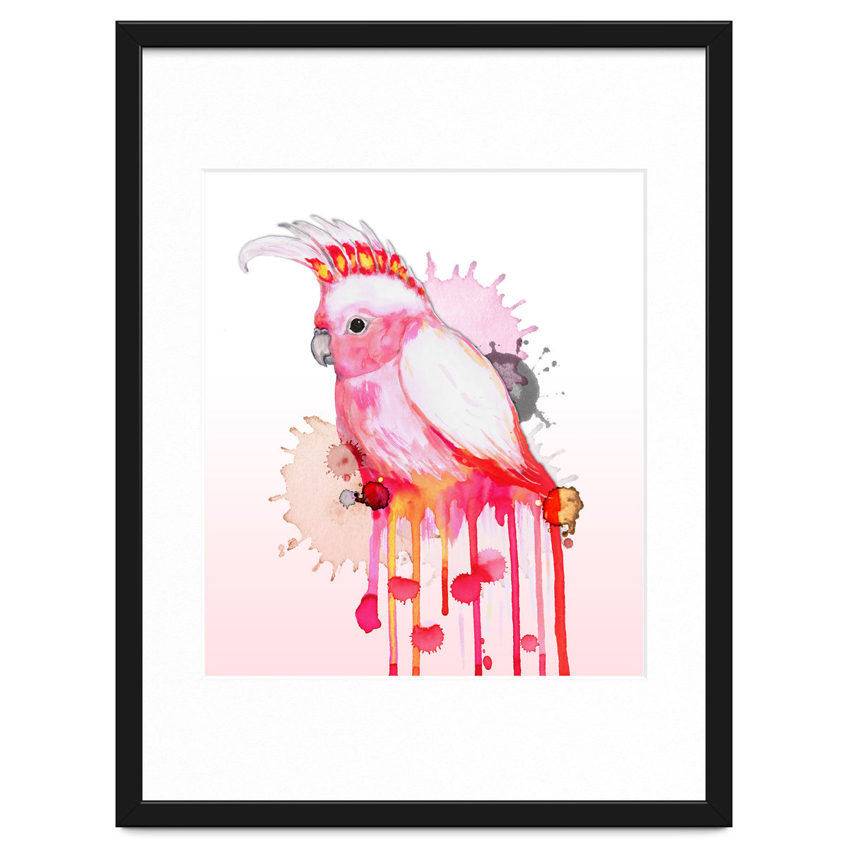 Major Mitchell's cockatoo