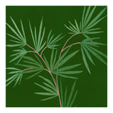 Abstract Palm (Print Only) thumbnail