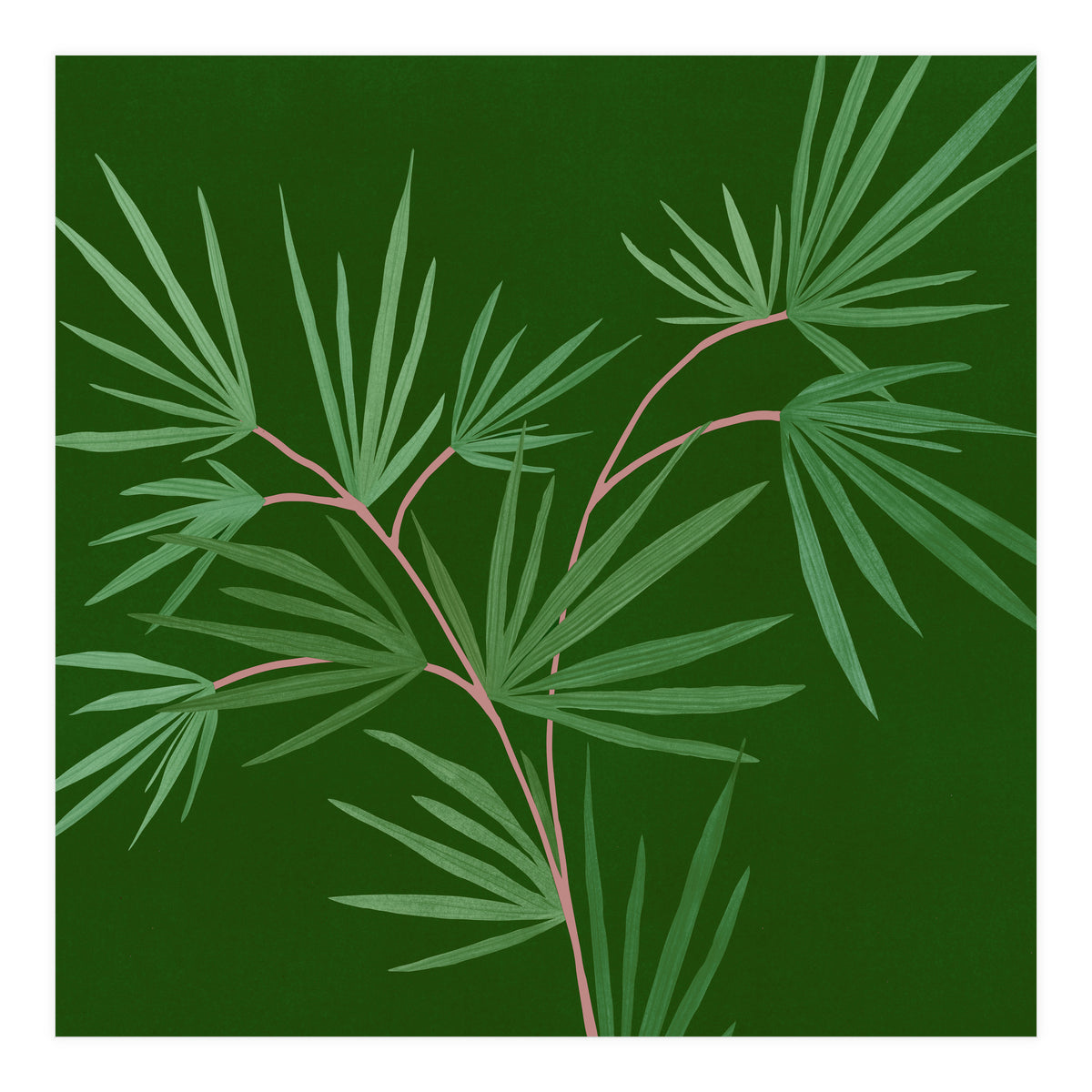 Abstract Palm (Print Only)