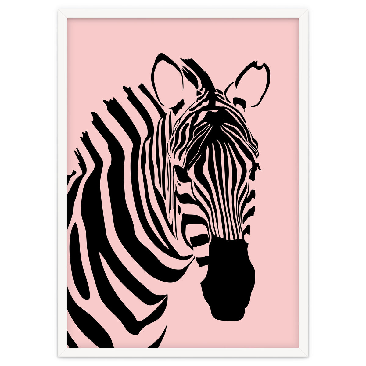 Zebra Stripes