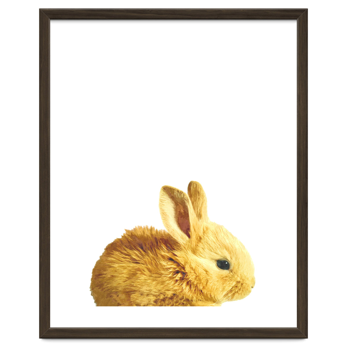 Bunny Portrait