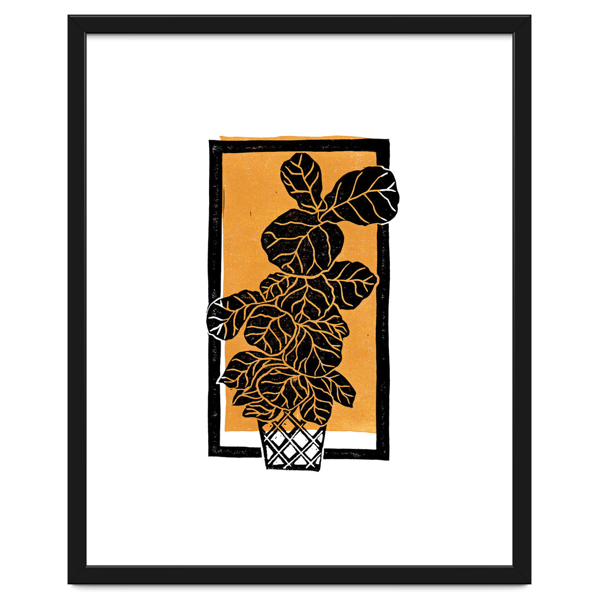 Fiddle Leaf Fig Clean + Sunlight