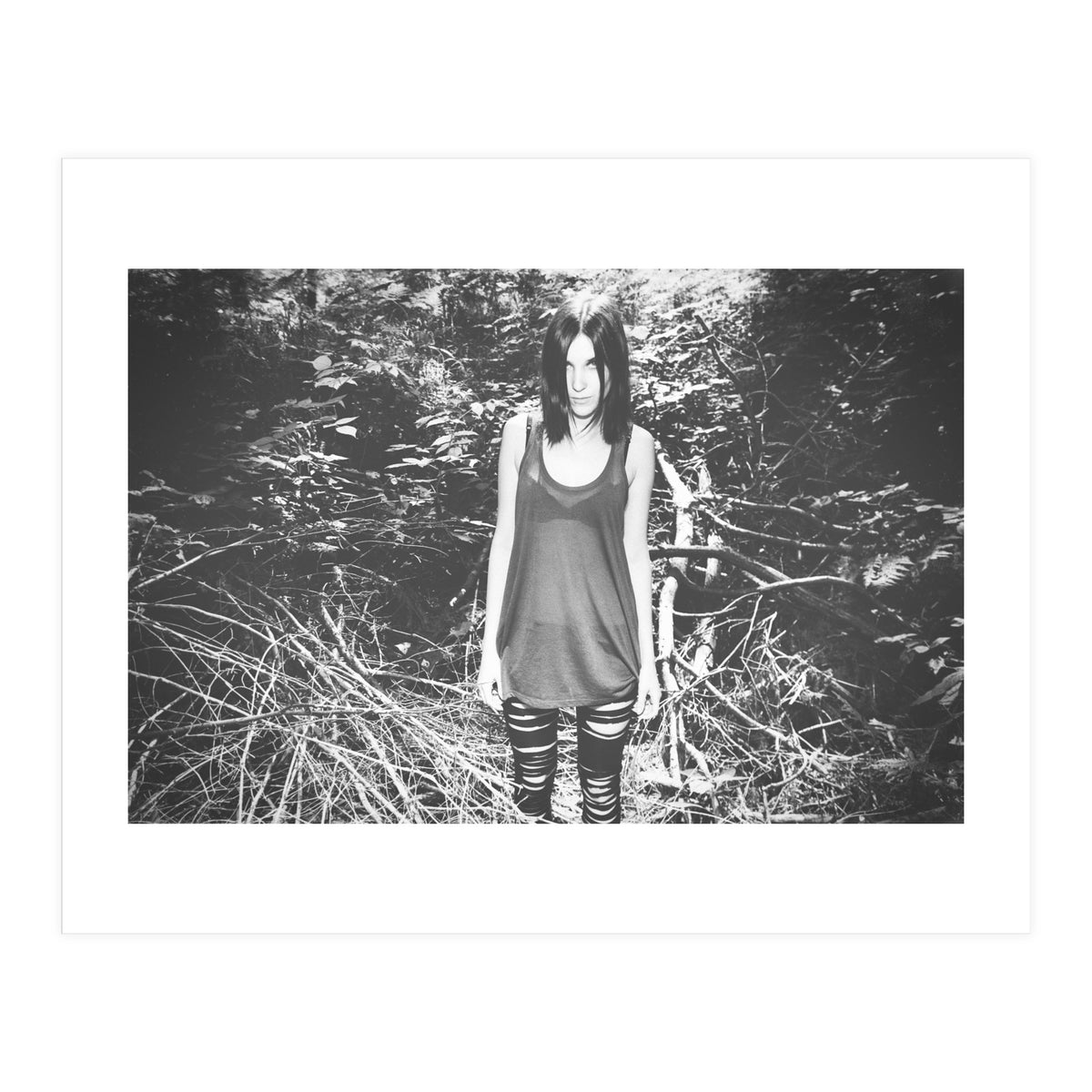 Camouflaged Animals (Print Only)