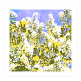 The Contrast Of Desire (Print Only) thumbnail
