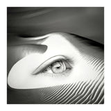 Untrue (Print Only) thumbnail