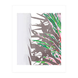 Plant & Shadow (Print Only) thumbnail