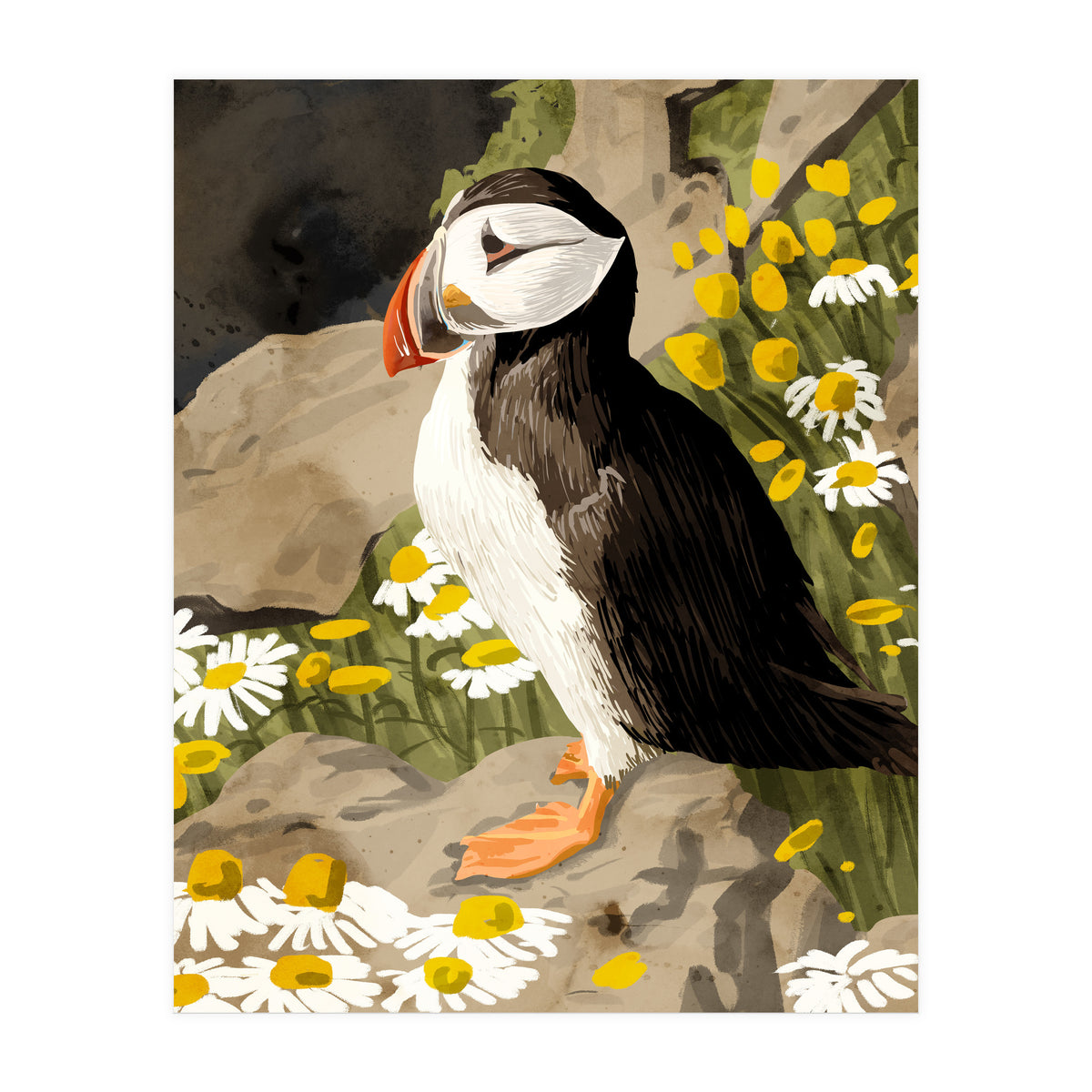 Puffin (Print Only)