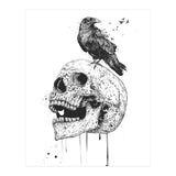 New Skull (bw) (Print Only) thumbnail