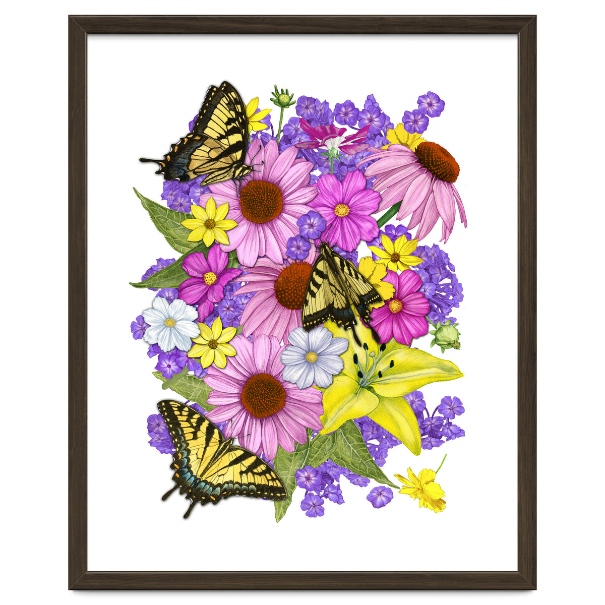 Corn Flowers and Swallowtails