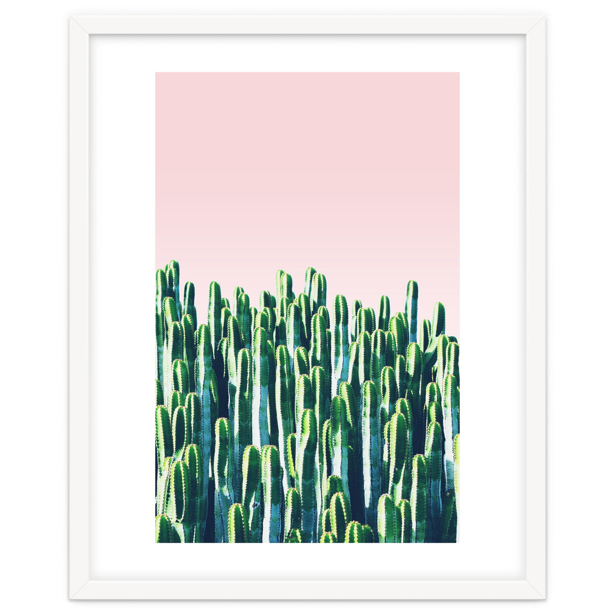 Cactus & Sunset I