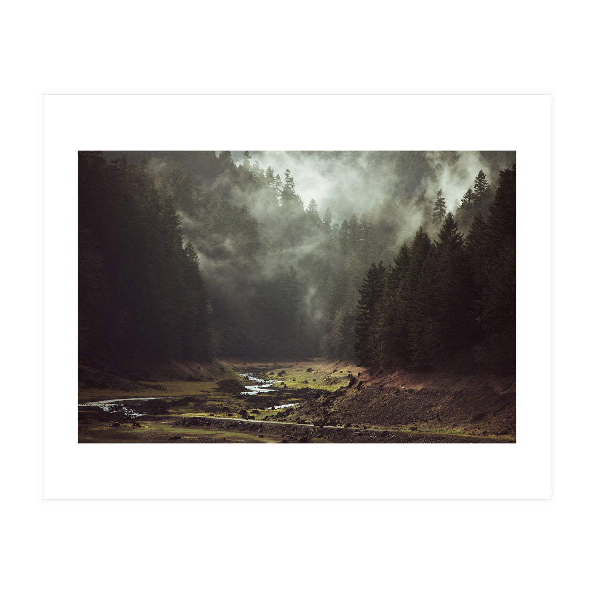 Foggy Forest Creek (Print Only)