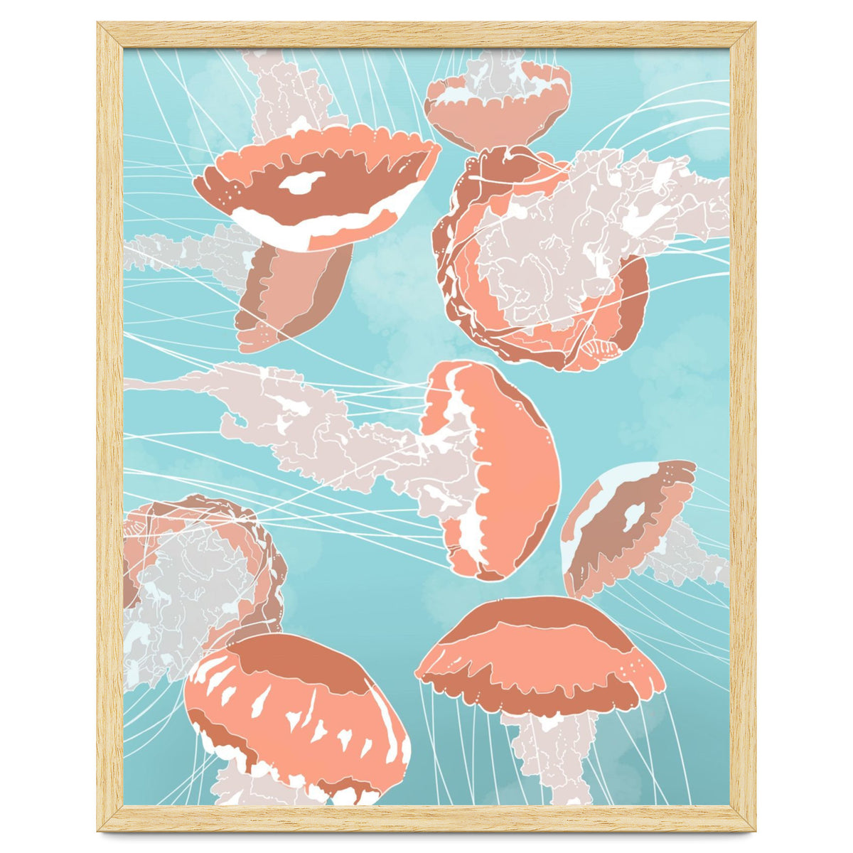 Jellyfish