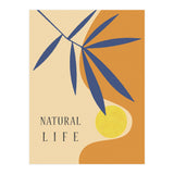 NATURAL LIFE (Print Only) thumbnail