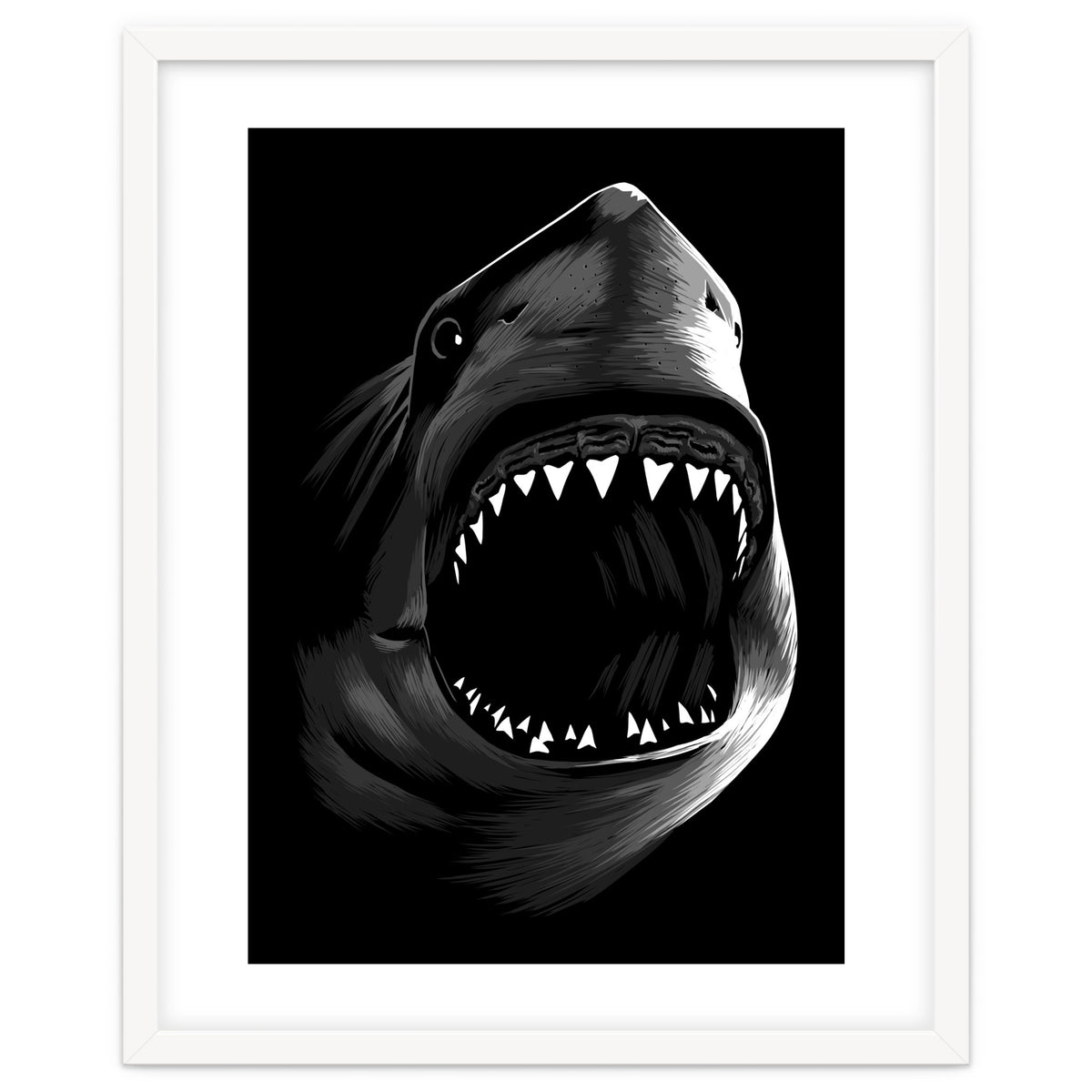 Megalodon