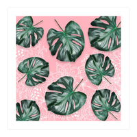 Modern 3d green tropical monstera leaf photo on blush pink white floral illustration (Print Only)