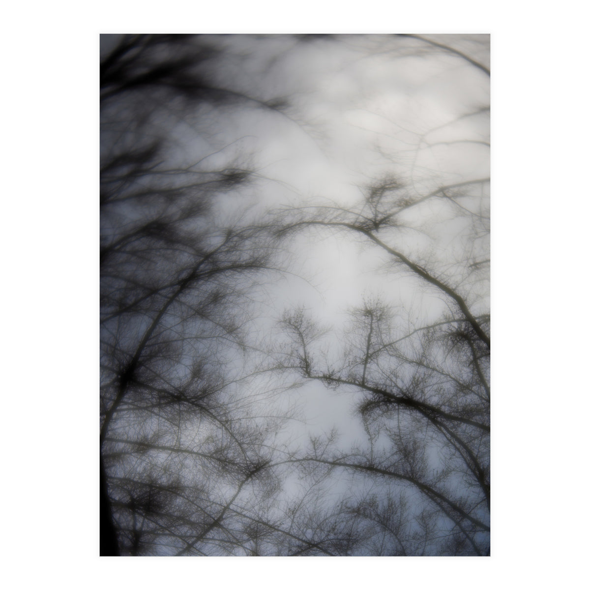 Forgotten Memories of Summer #16 (Print Only)