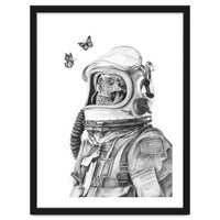 Butterflies in Space