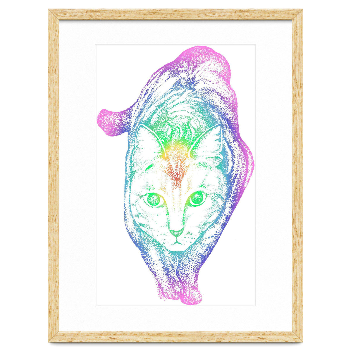 Rainbow Pastel Cat