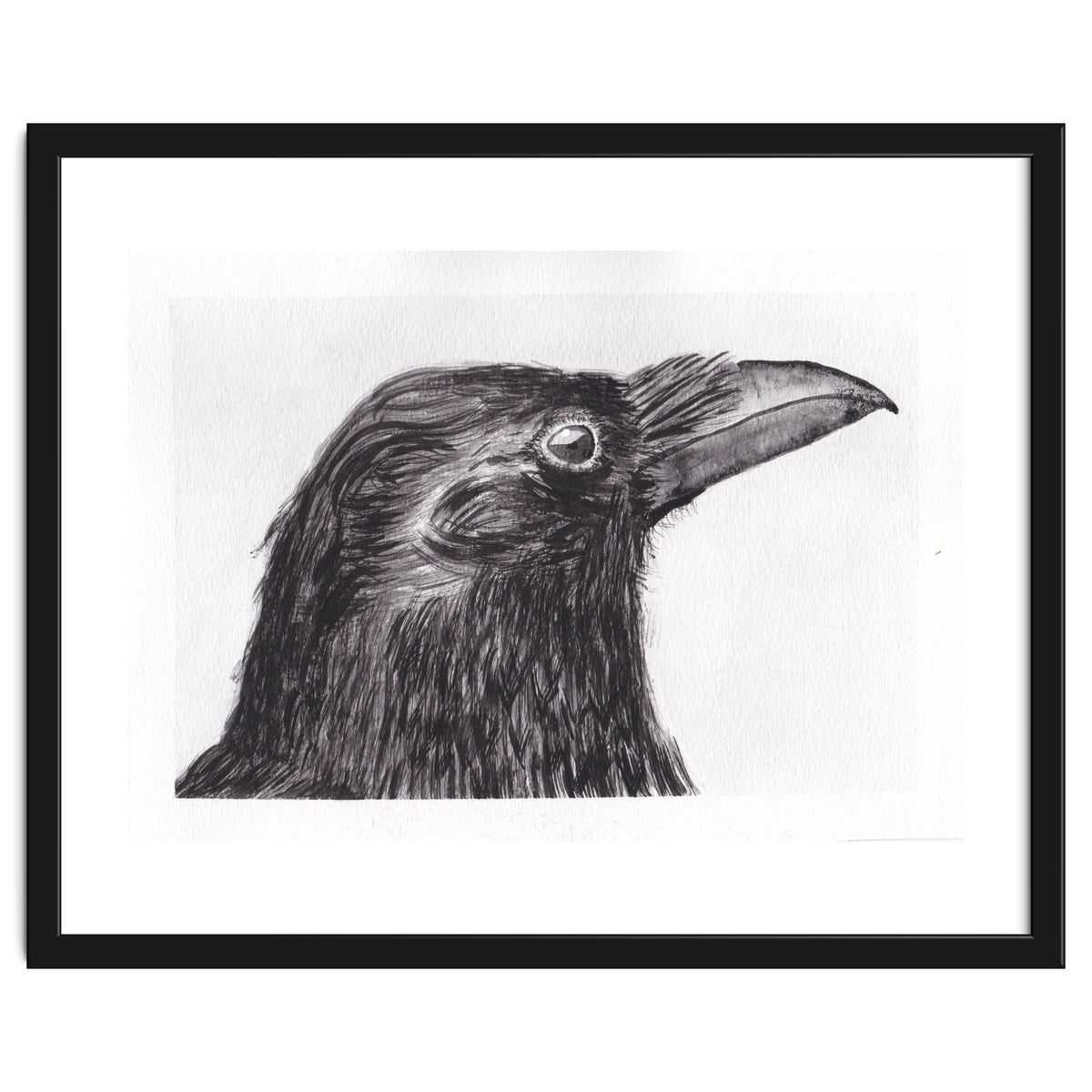 Crow
