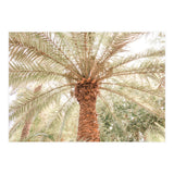 Tropical Palm Tree (Print Only) thumbnail