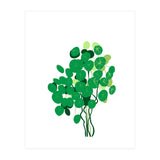 Pilea (Print Only) thumbnail