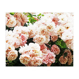 Roses (Print Only) thumbnail
