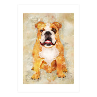 Boxer Dog (Print Only)