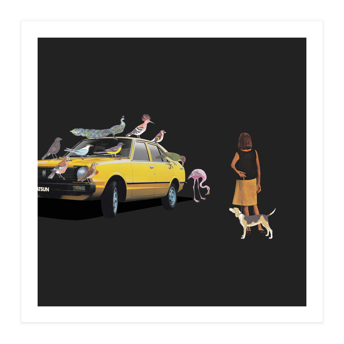 Bird Gang (Print Only)