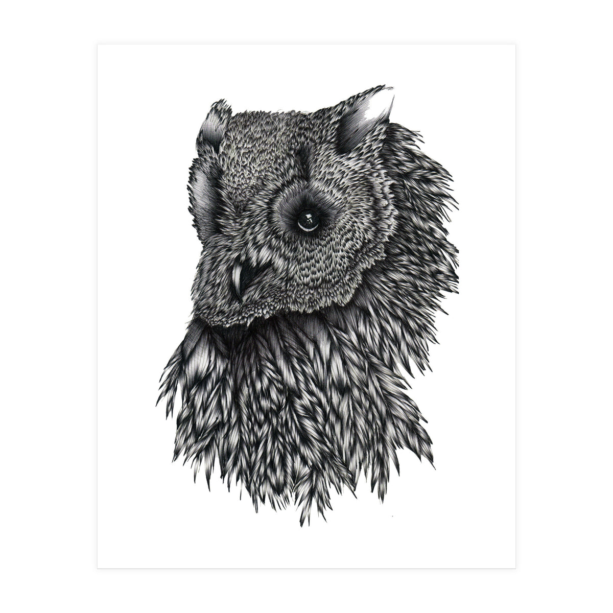 Forsythe (Print Only)