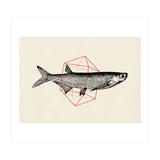 Fish In Geometrics II (Print Only) thumbnail