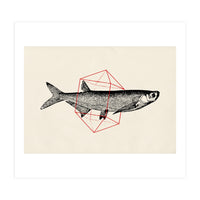 Fish In Geometrics II (Print Only)