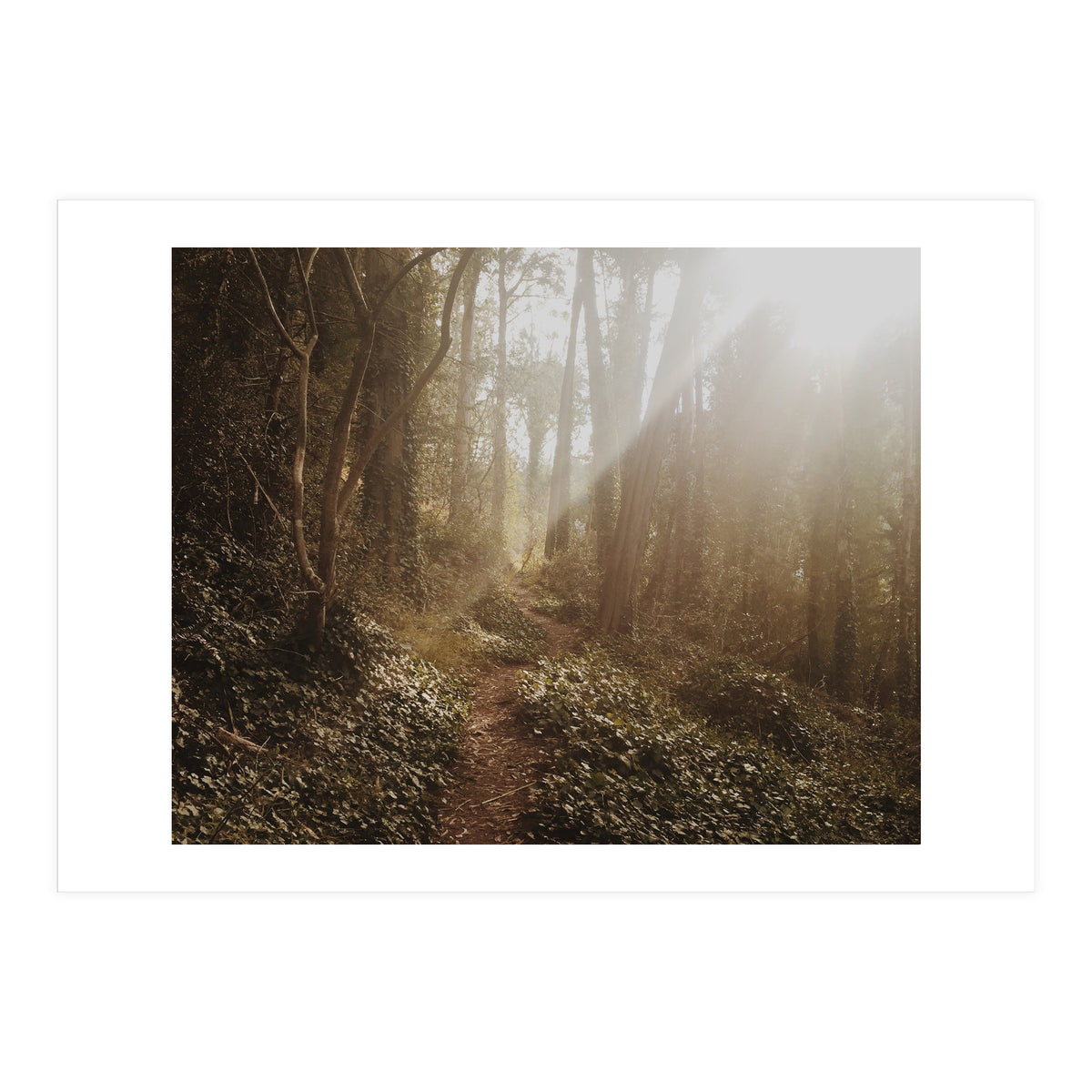 Mt. Davidson II (Print Only)