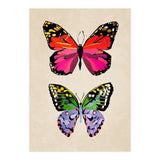 Two Butterflies (Print Only) thumbnail
