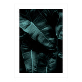 Dark Leafs (Print Only) thumbnail