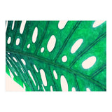 Foliage V2 (Print Only) thumbnail