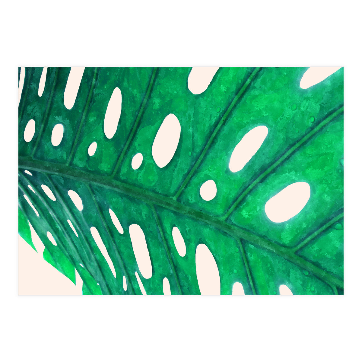 Foliage V2 (Print Only)