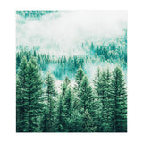 Forest And Fog (Print Only) thumbnail