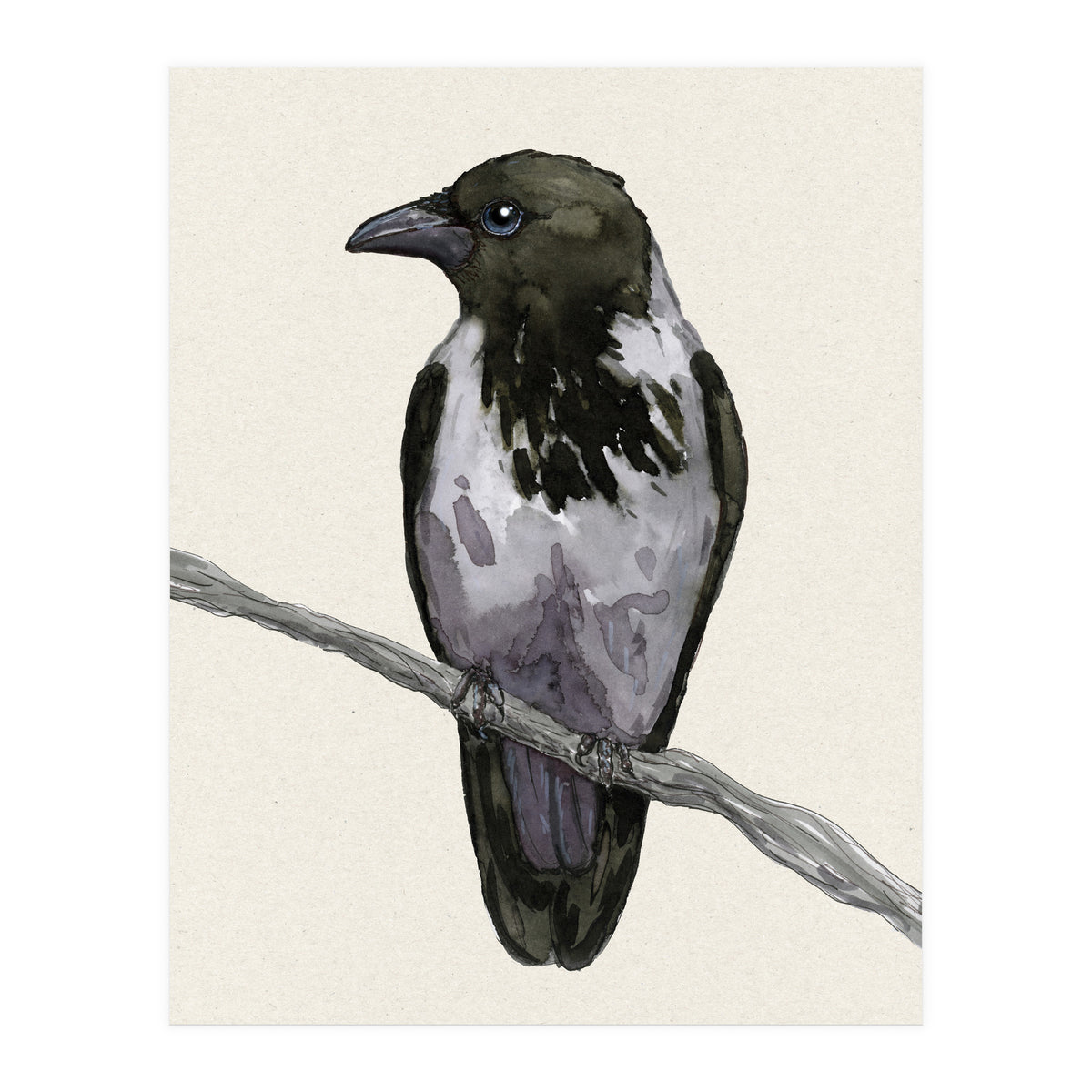 Hooded crow watercolor (Print Only)