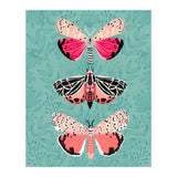 Lepidoptery Study No. 6 (Print Only) thumbnail
